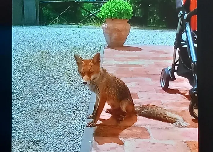 Agriturismo Da Nonna Argia Massa e Cozzile